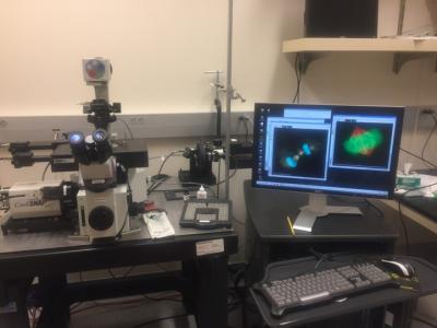 picture of microscope 3-D reconstructing an image