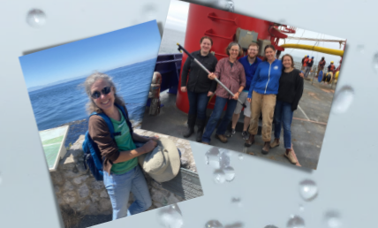 Suzanne Strom and research colleagues on their expeditions in the Gulf of Alaska.