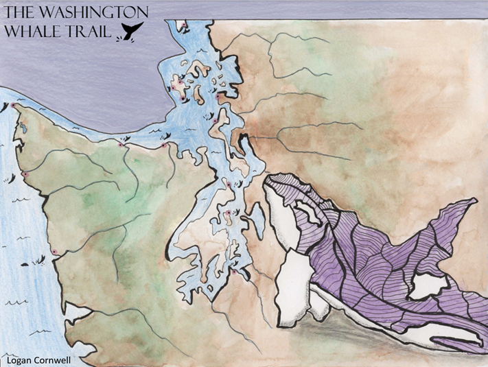 Watercolor, ink and pencil map drawing of Washington State, an Orca whale, and stops on the Washington Whale Trail.