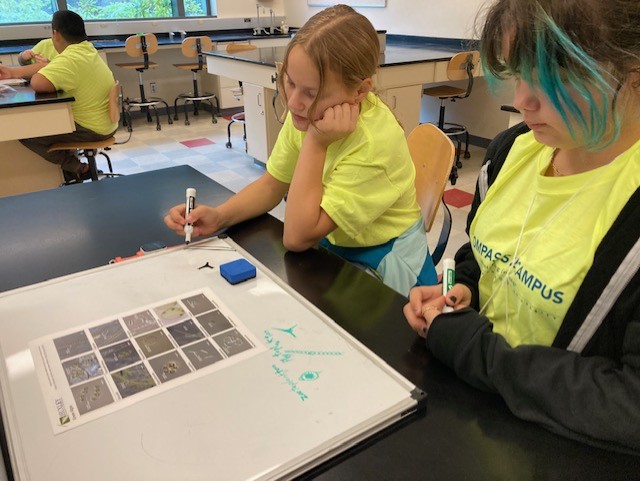 Two fifth grade students sit at a lab table, drawing on a whiteboard with markers in hand.