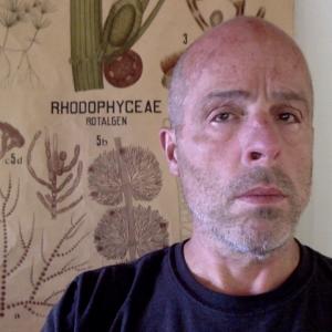 close up of Dr. Jeff Young with illustrated poster of &quot;rhodophyceae&quot; in background